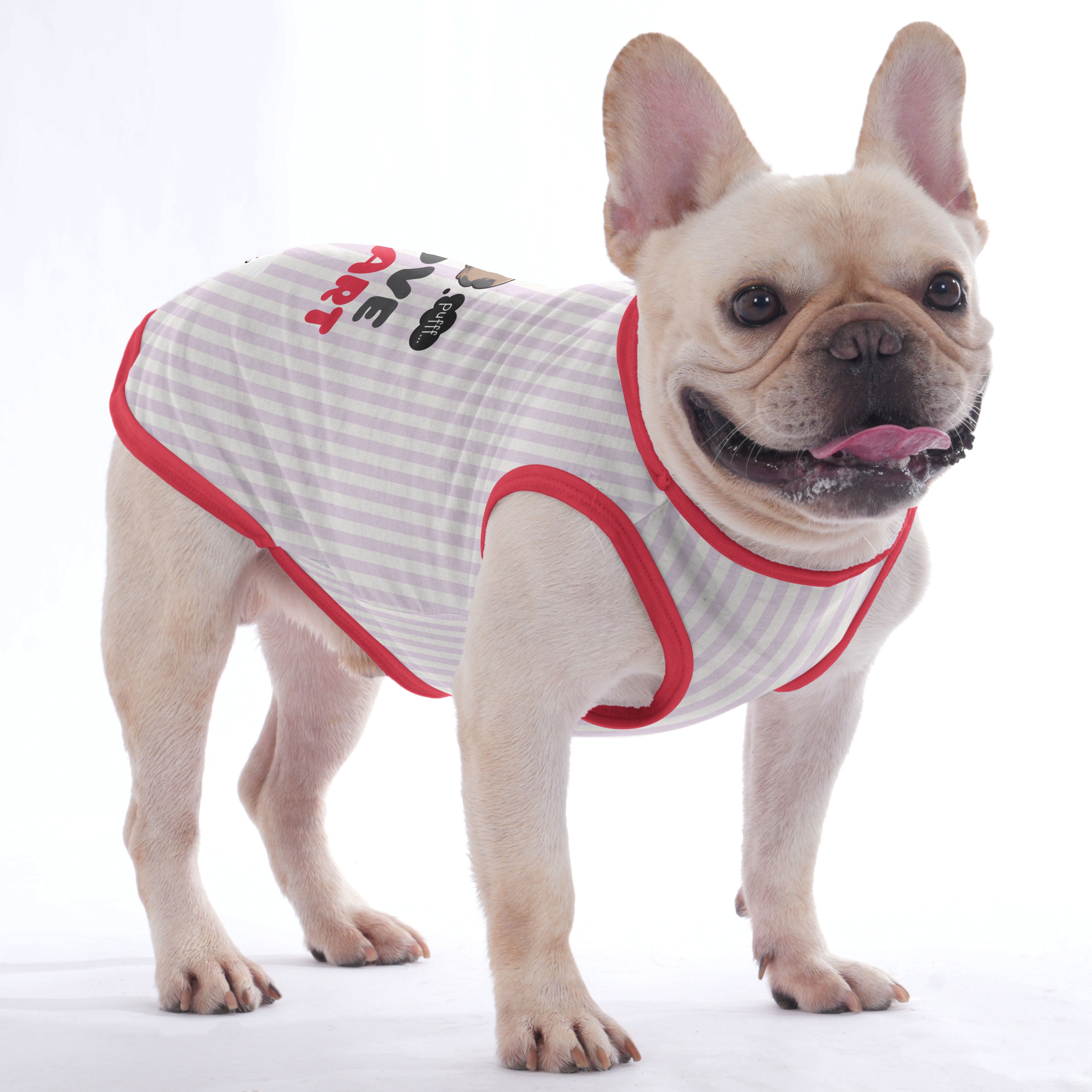Premium Mansel - Shirt For Frenchies - Frenchie Shop Original for Dog