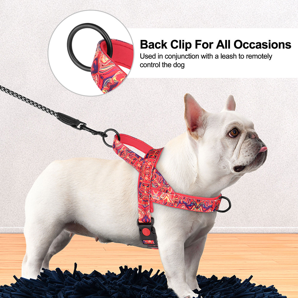 PrintPup No Pull Frenchie Harness with Unique Print Patterns