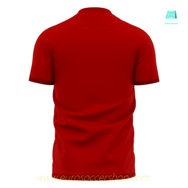 Nurnberg 2025-2026 Home Concept Football Kit (Libero) - Womens