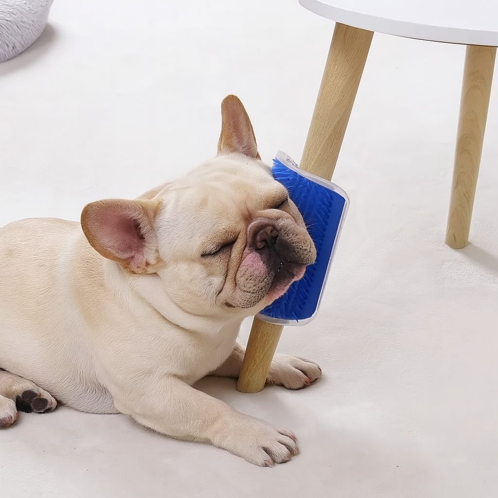 High-Quality Rubpaw French Bulldog Hair Removal – Gentle Deshedding T...