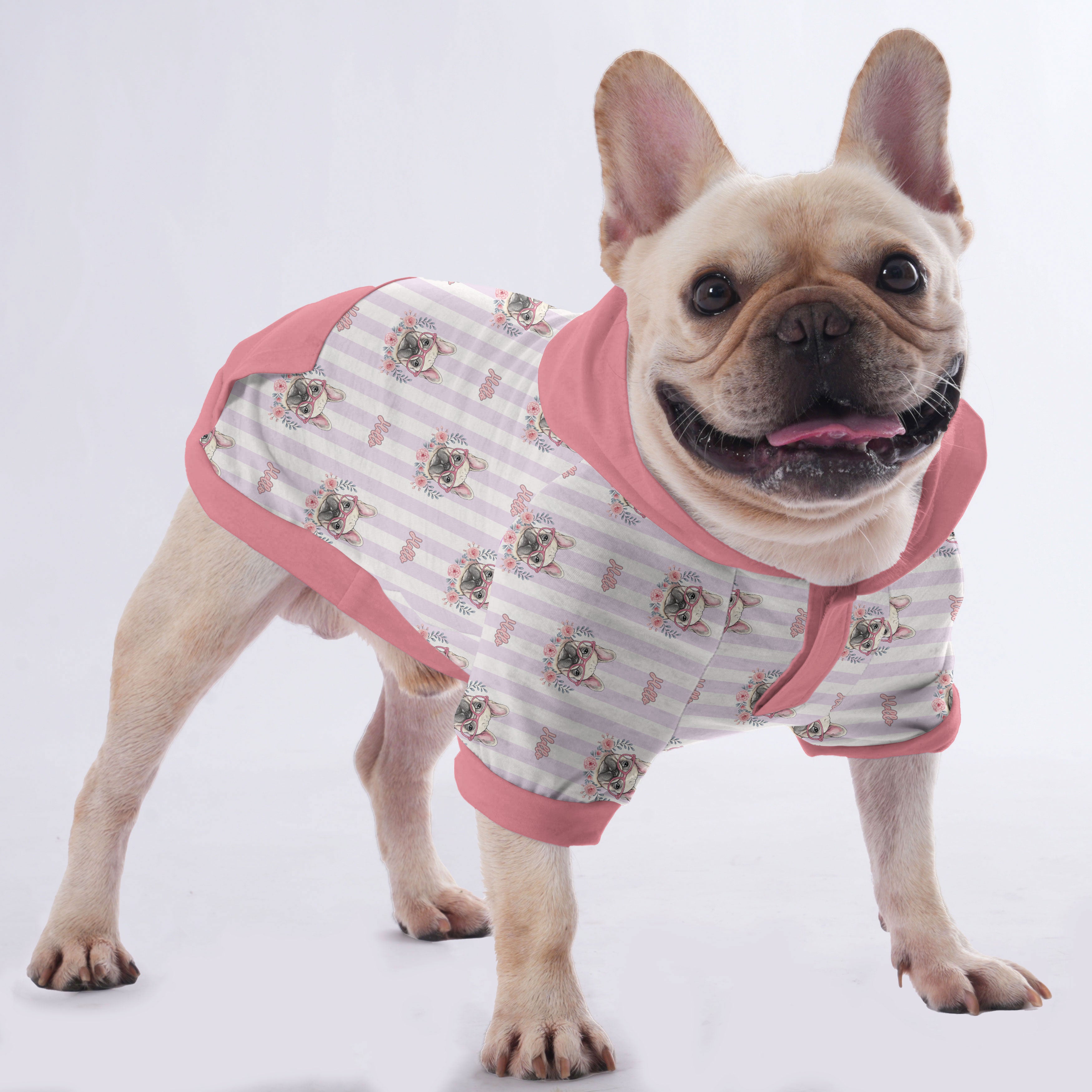 French Bulldog Chowder Hoodies For French Bulldog | Frenchie Shop