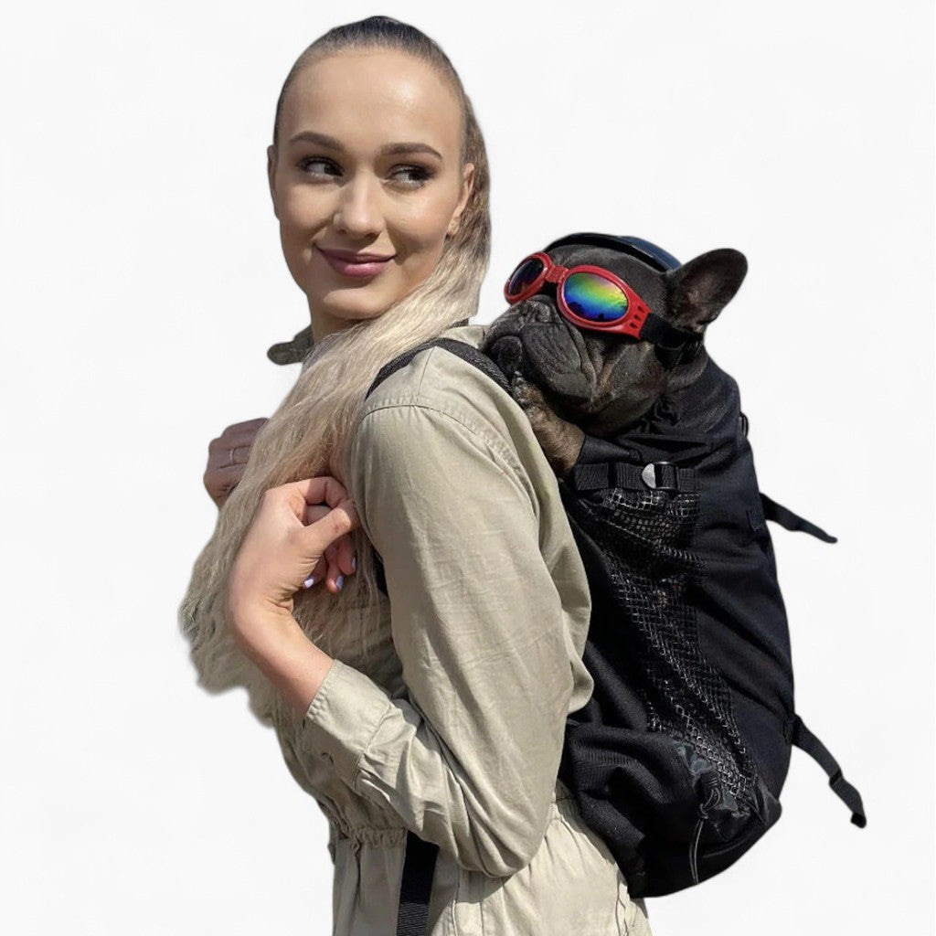 Trendy Culture-Inspired Frenchie Backpack™ [v1] (cs03) for Everyday Wear