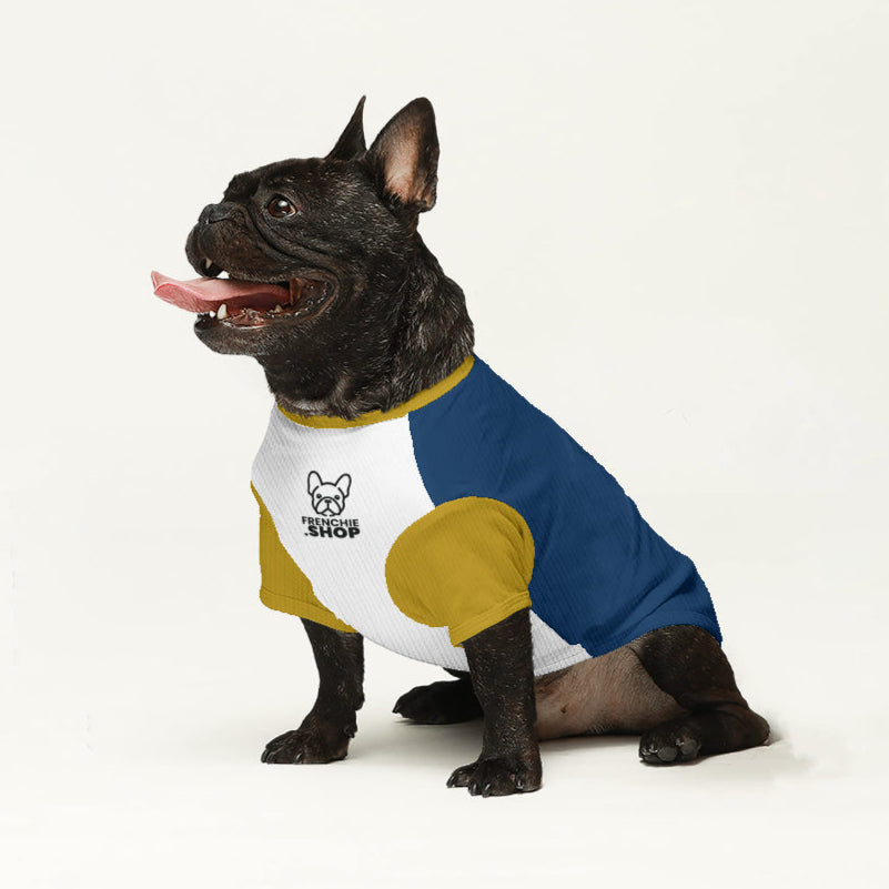 French Bulldog Mazie Wool Sweater For Frenchies Warm Cold Weather Gear