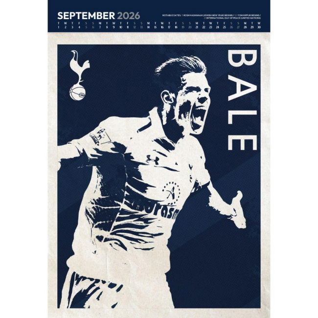 Supporter Grade Tottenham Home Fan Jersey (Adults) (2)