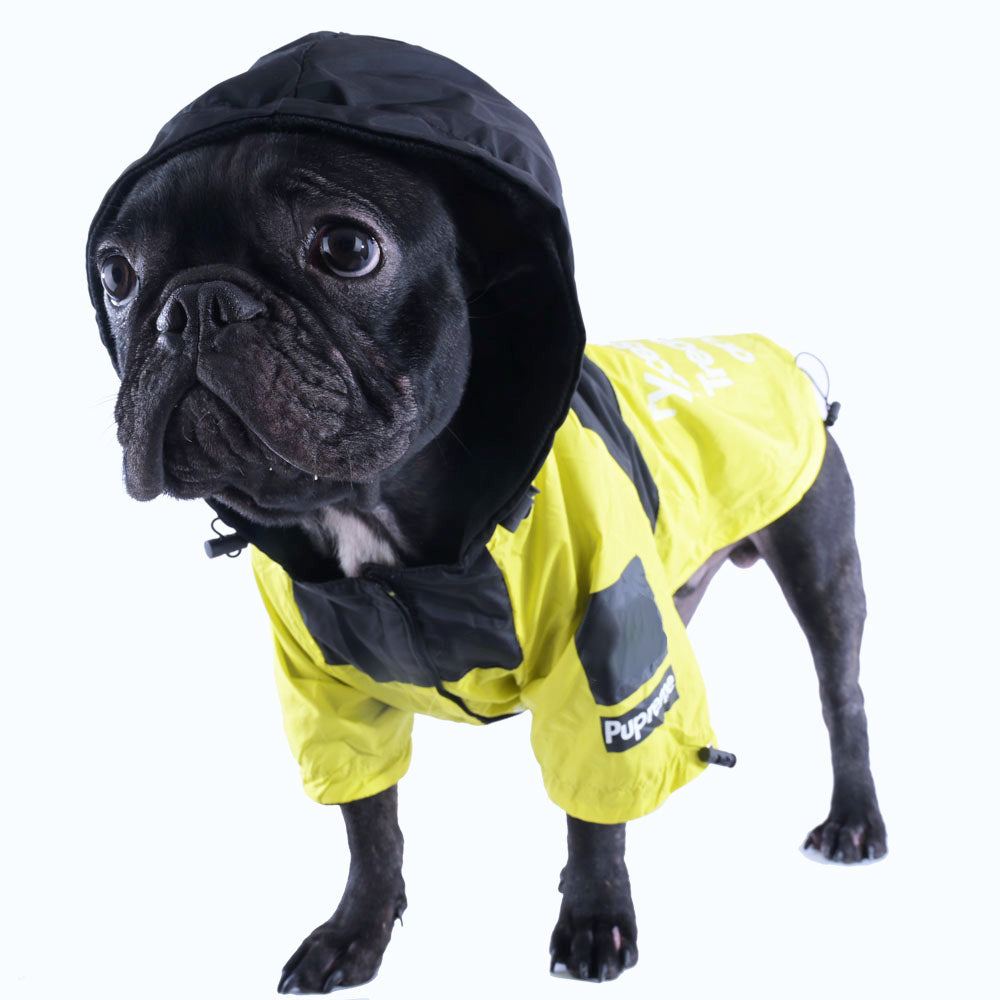 Comfortable Pawmax Raincoat Plus - French Bullog Raincoat for Pet