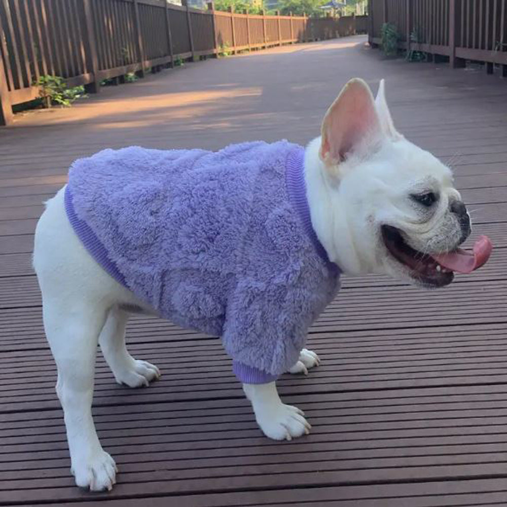 - Stylish Frenchie Winter Sweater Plush Dog Apparel For Dog Lovers