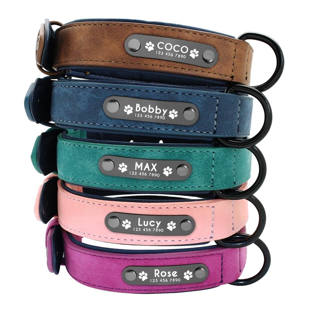Safe Personalized - Warm French Bulldog Collar Summer Wear