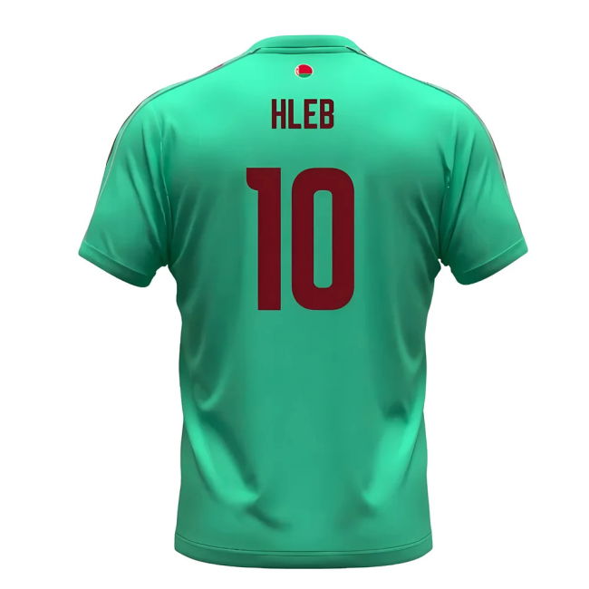 Official 2024-2025 Belarus Away Quality Premium Team Kit Euro