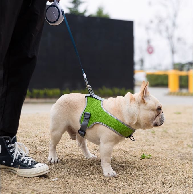 Pressure-Balanced Pawsmotion Premium French Bulldog Harness Vest With...