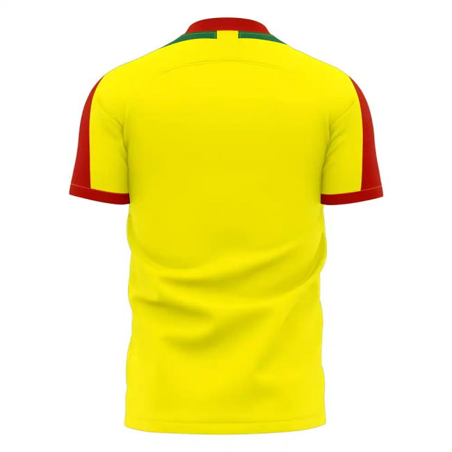 Benin 2025-2026 Home Concept Football Kit (Libero) - Womens