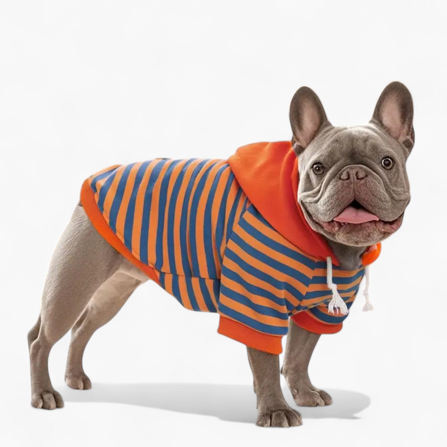 French Bulldog Striplee French Bulldog Hoodie – Soft Striped Knit