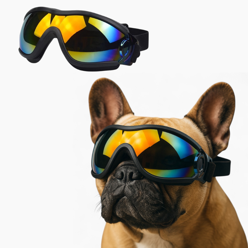 PawVue French Bulldog Goggles – Windproof UV Protection Dog Sunglasses