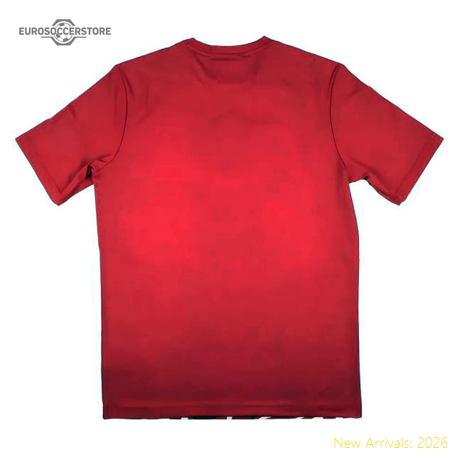 Professional-Grade 2023-2024 Lille Losc Pre-Game Jersey (Home)