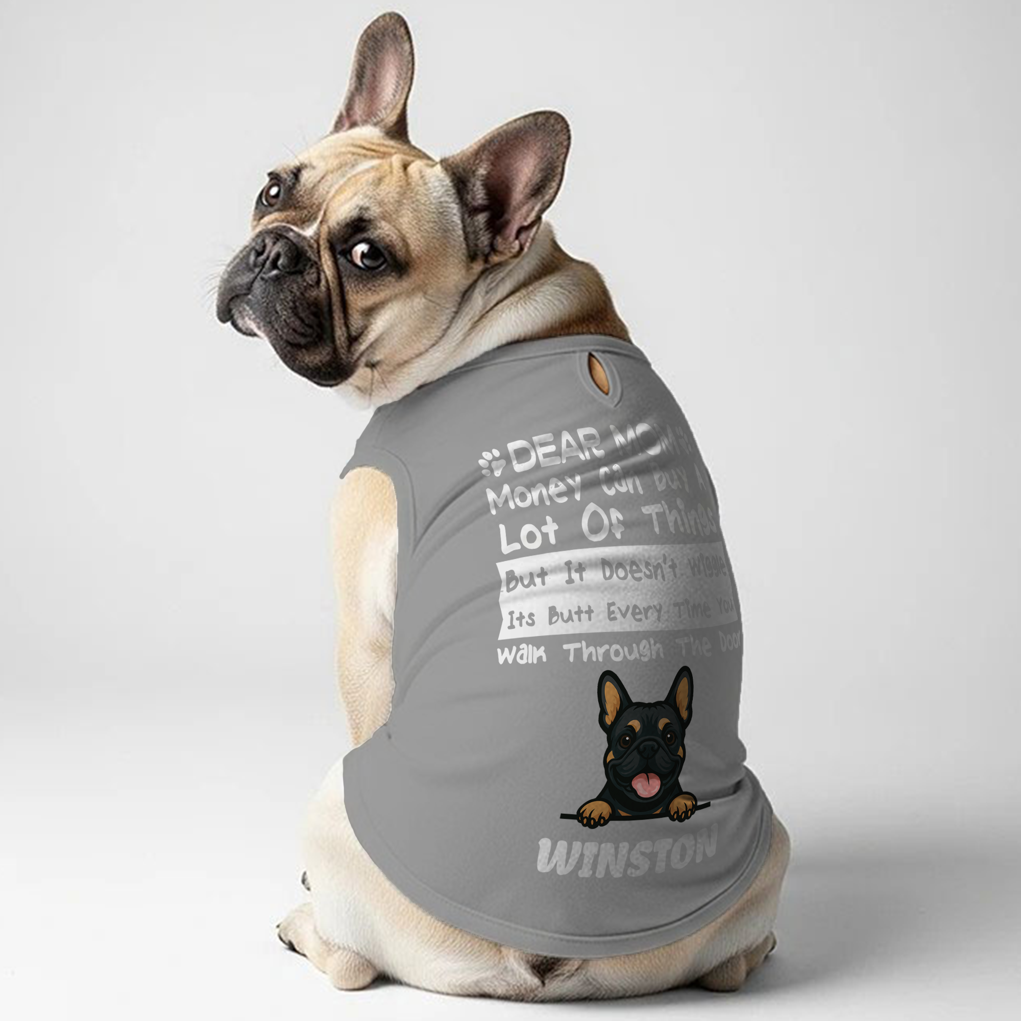 Money can buy - Personalized Frenchie Shirt | Custom Dog T-Shirt for French Bulldogs