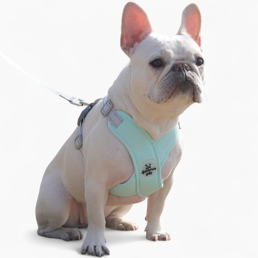Refleciere - Non-slip Frenchie Breathable Harness Leash Set Outdoor Use