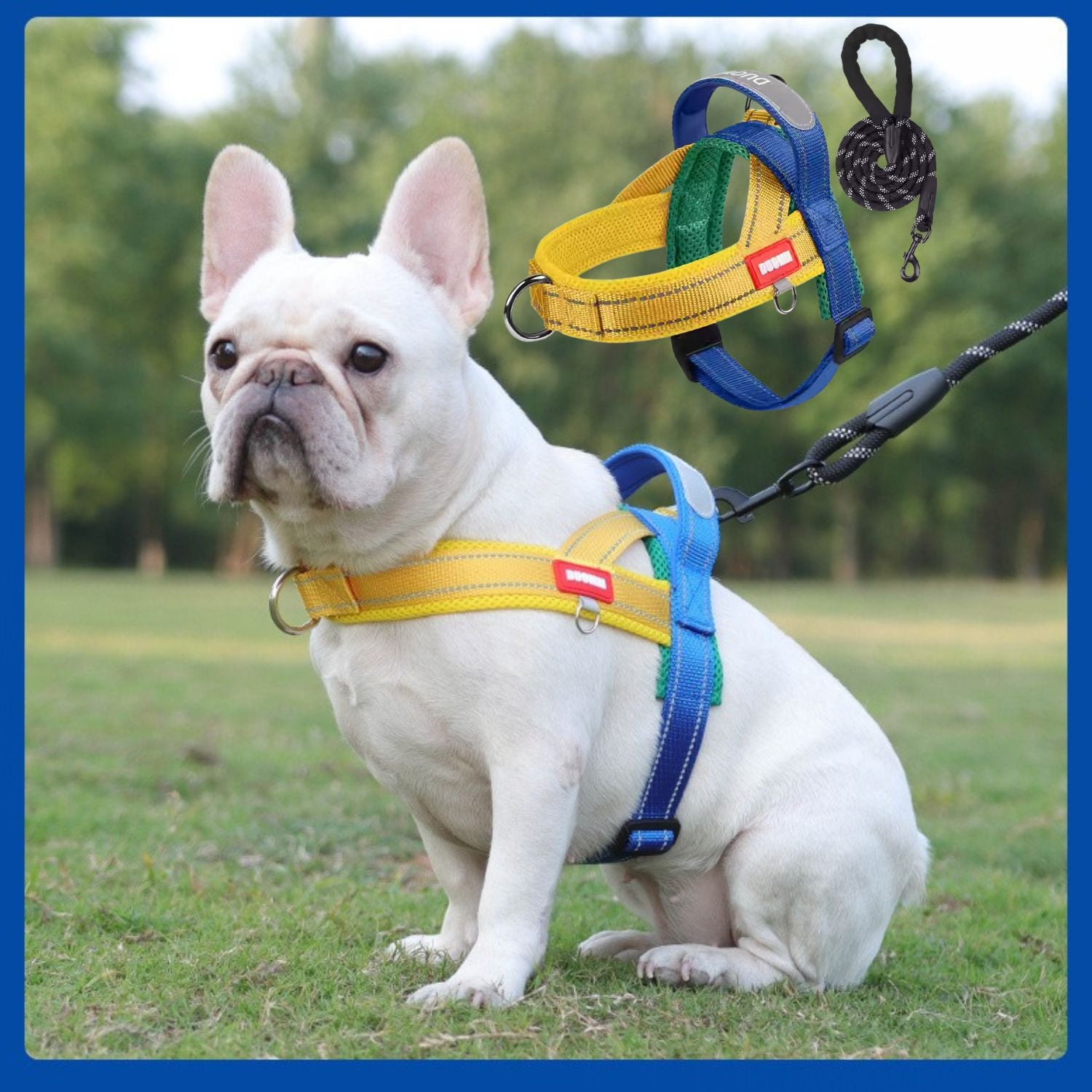 Secure-Fit Frenfit Frenchie Harness And Leash Set – No-pull Y-shaped ...