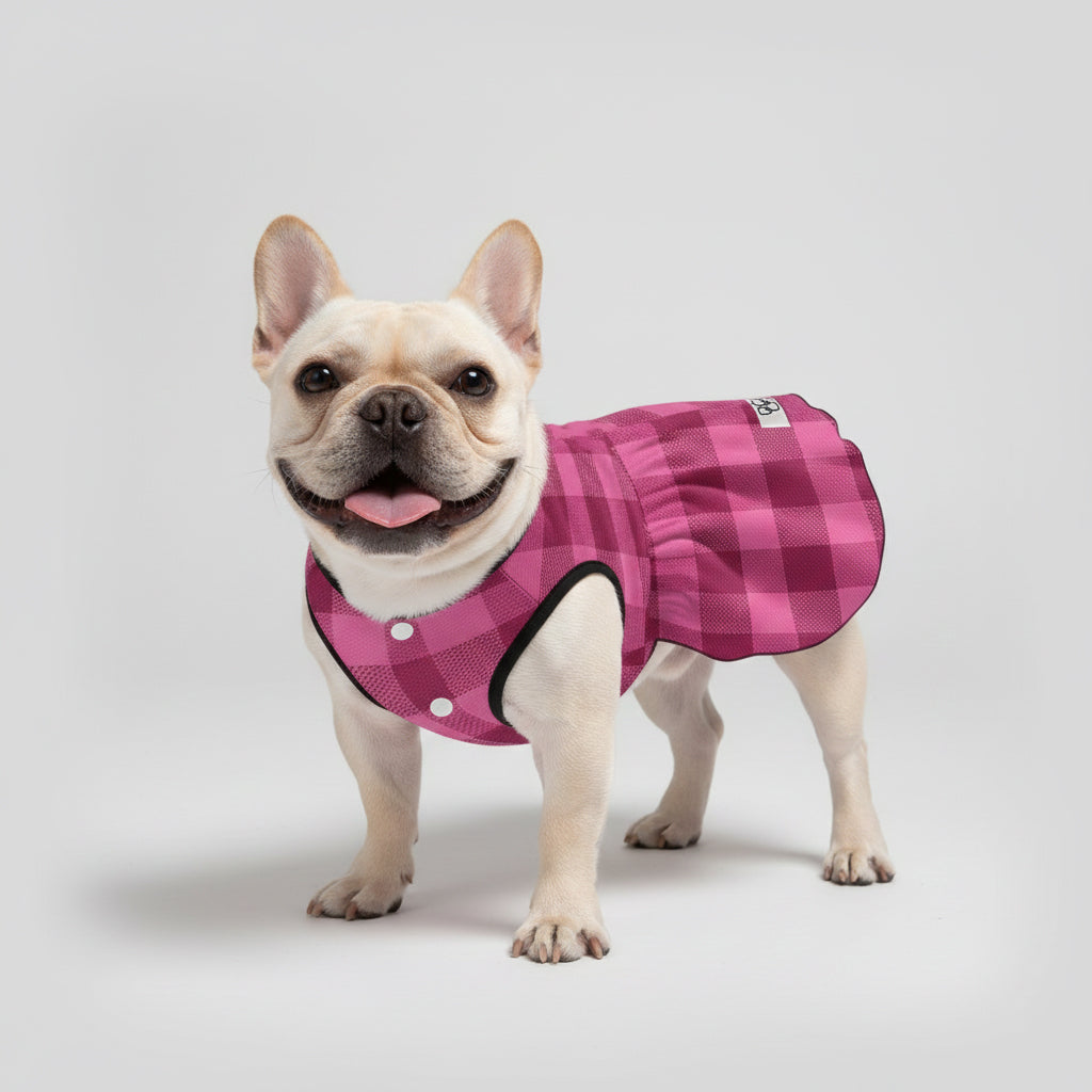 French Bulldog Giannaya French Bulldog Dresses For Females Durable Dog Item