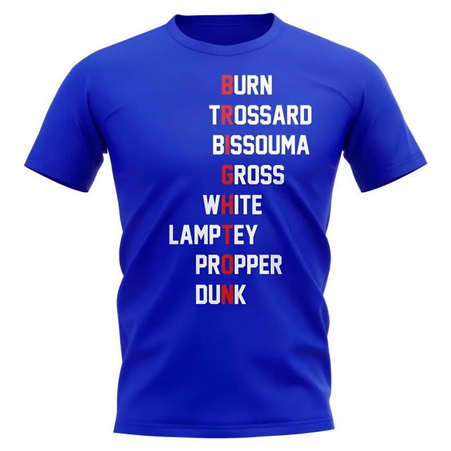 Official Official Licensed Brighton Modern Style Supporter Shirt