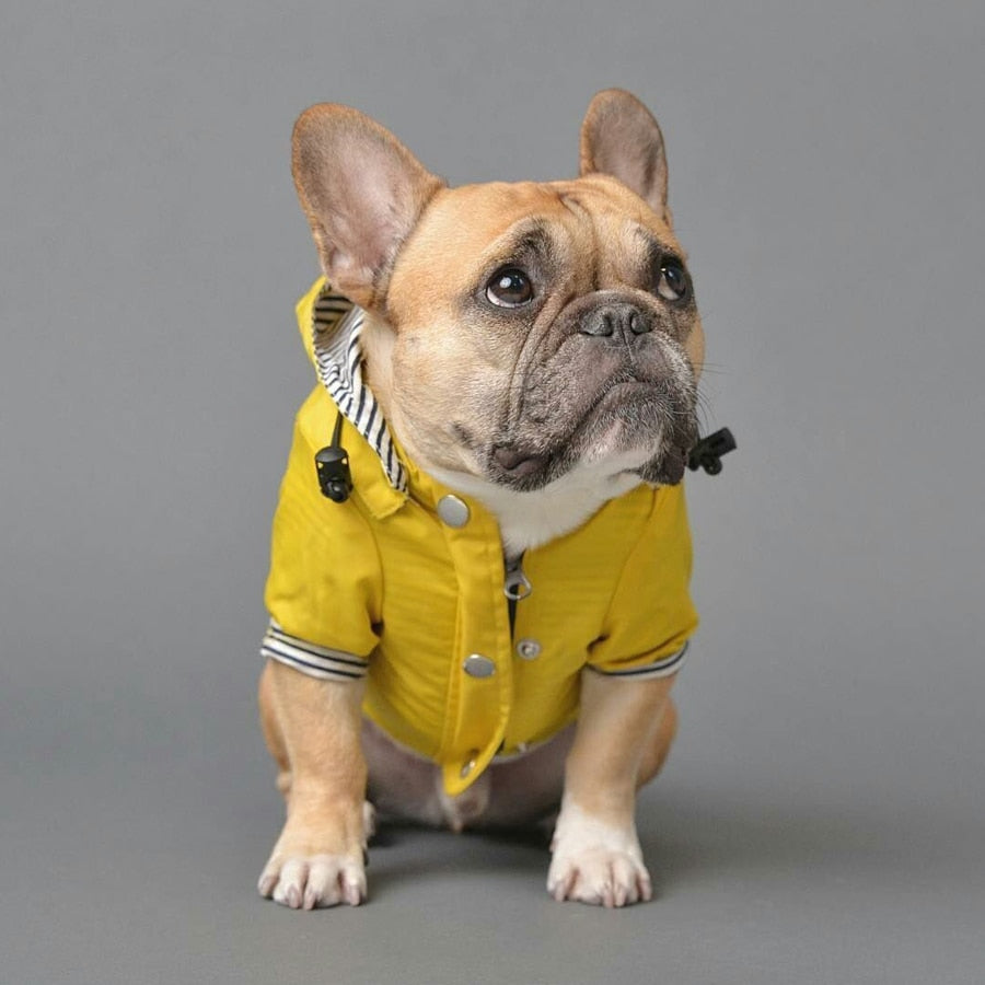 Non-slip French Bulldog Raincoat (ws123) Dog Supplies | Breed-optimized