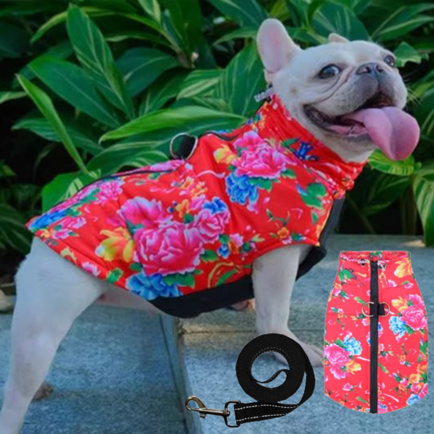 - Comfortable Premium Frenchie Jacket Outdoor Use | Non-slip Design