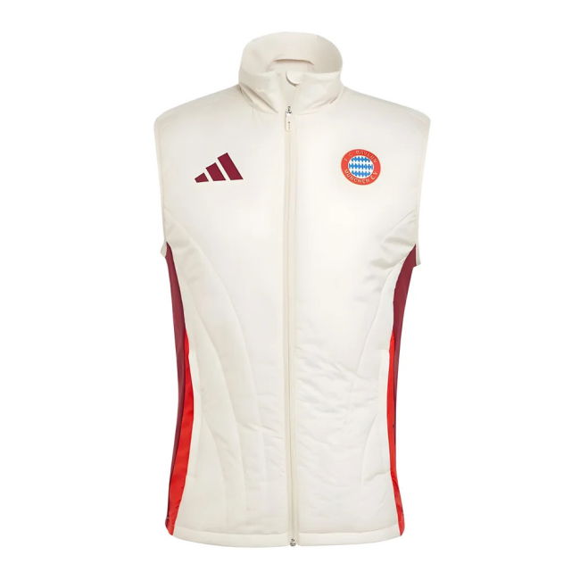 Bayern Munich Modern Jersey 2024-2025 #22