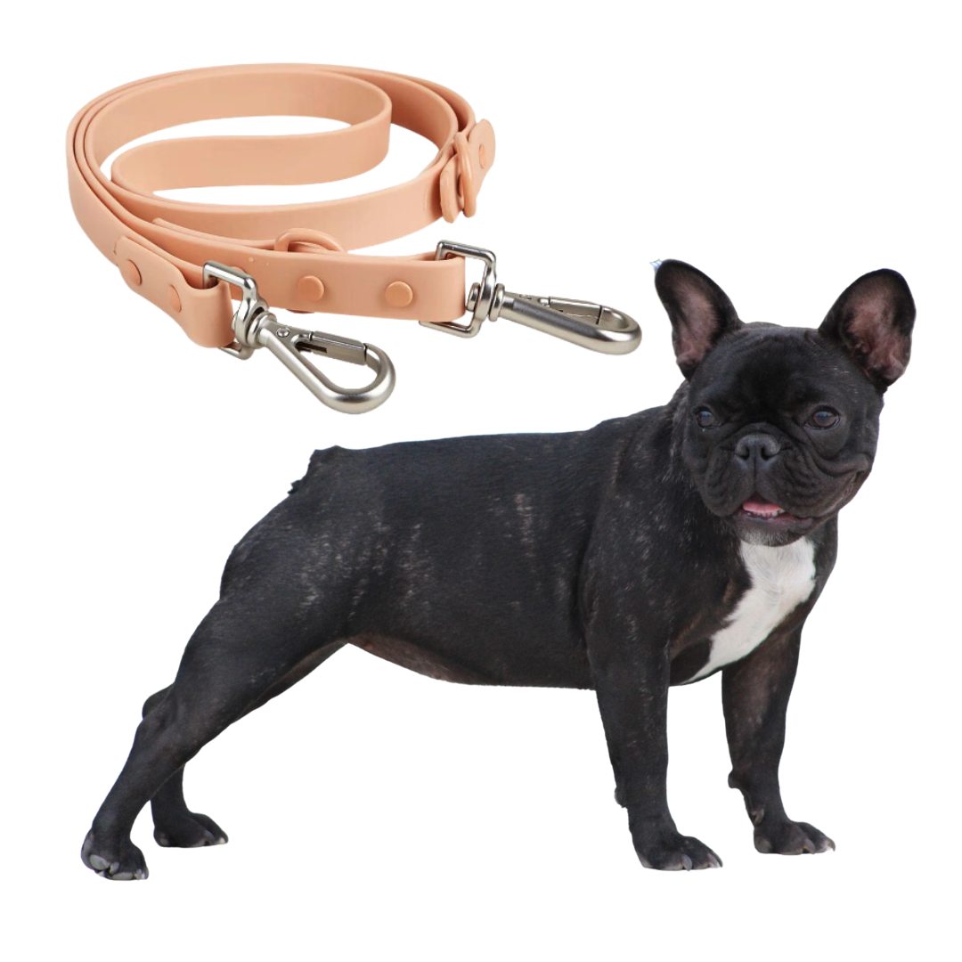 Quick Release Harness Leash Set Paw Protection | Vet-recommended