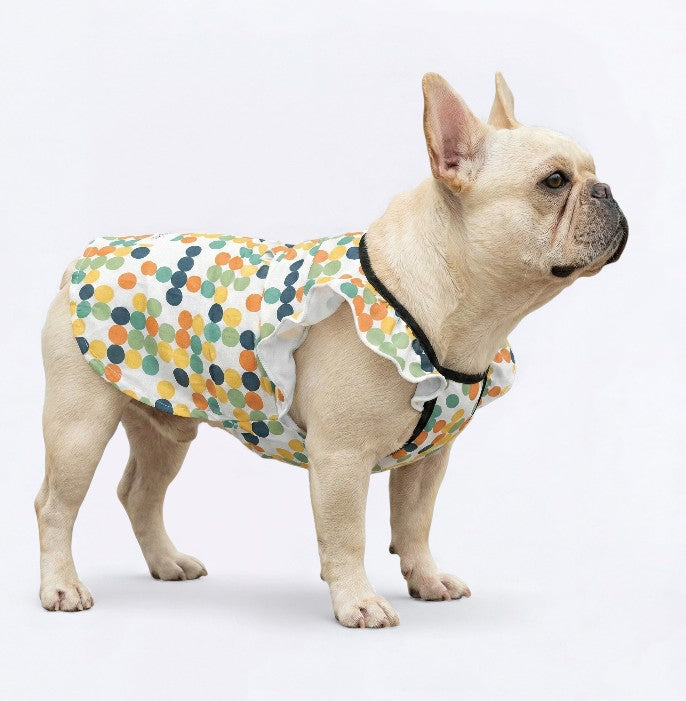 French Bulldog Zuri French Bulldog Dresses For Females Durable Dog Item