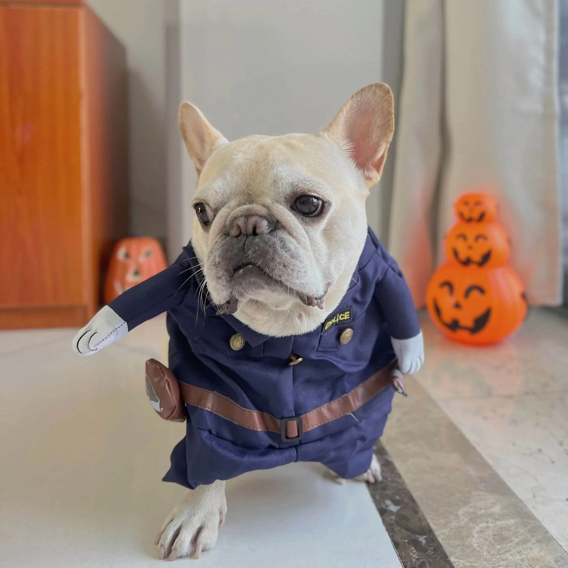 – Funny Knife-holding Halloween Outfit Dog Supplies | Non-slip Design