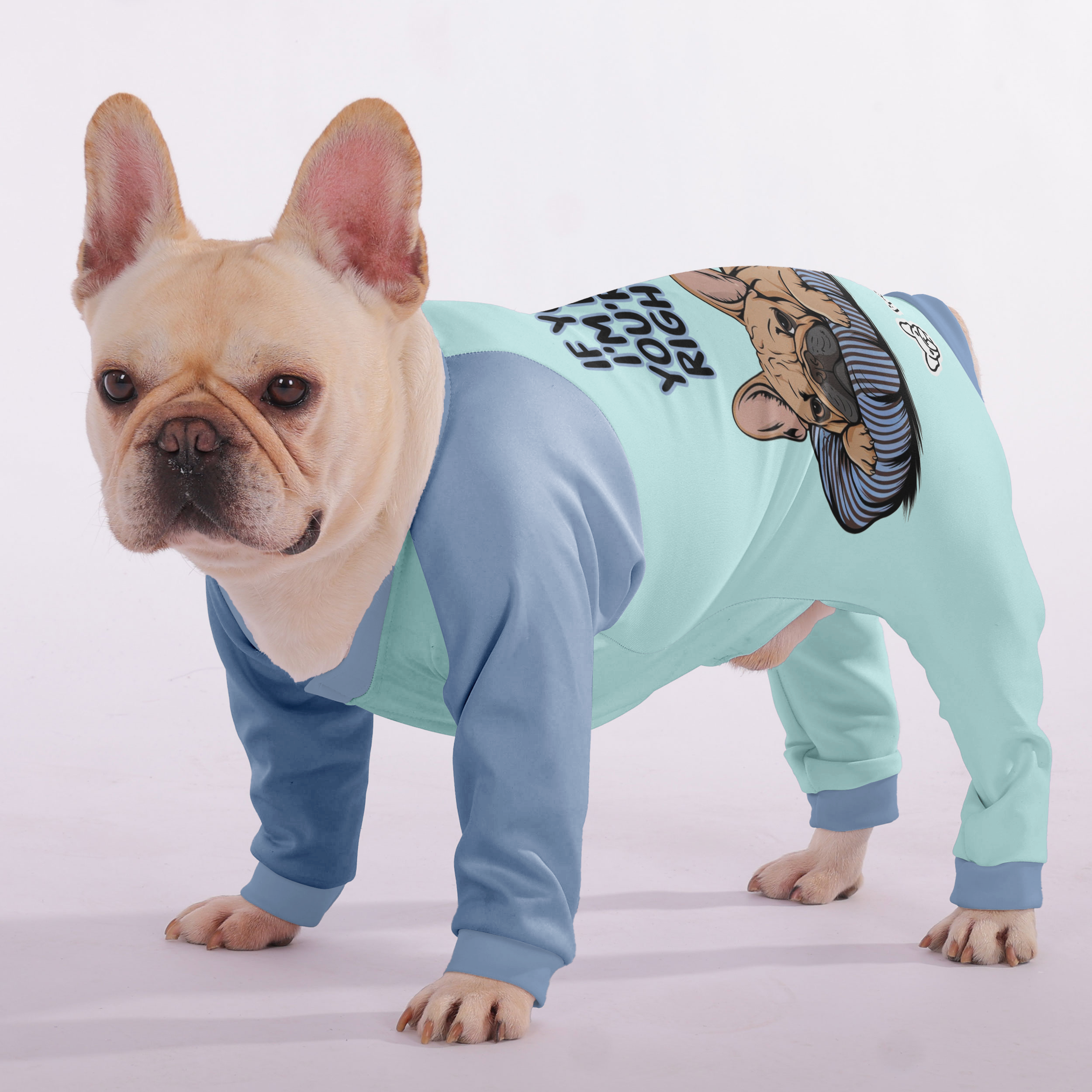 Ultra-soft, Cozy, & Adorably Stylish For Frenchie Pups | Breed-optimized
