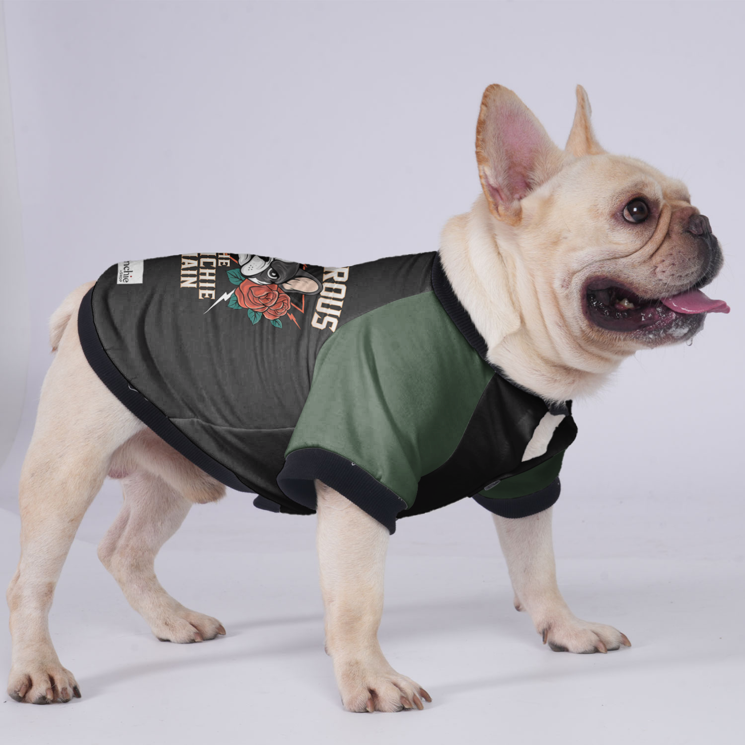 Fashion-Forward Premium Melo - Jacket For French Bulldog for Daily Life