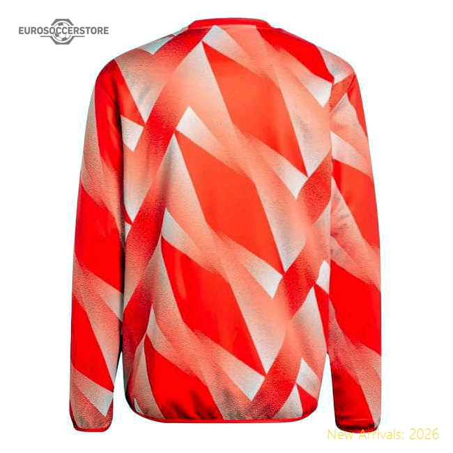 Professional-Grade 2023-2024 Bayern Munich Pre-Match Warm Top (Red)