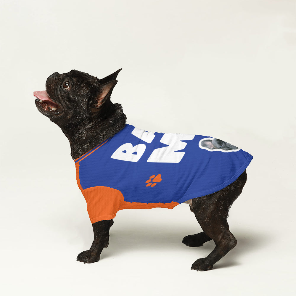 Personalized Wool Sweater For Frenchies Indoor Comfort | Premium Quality