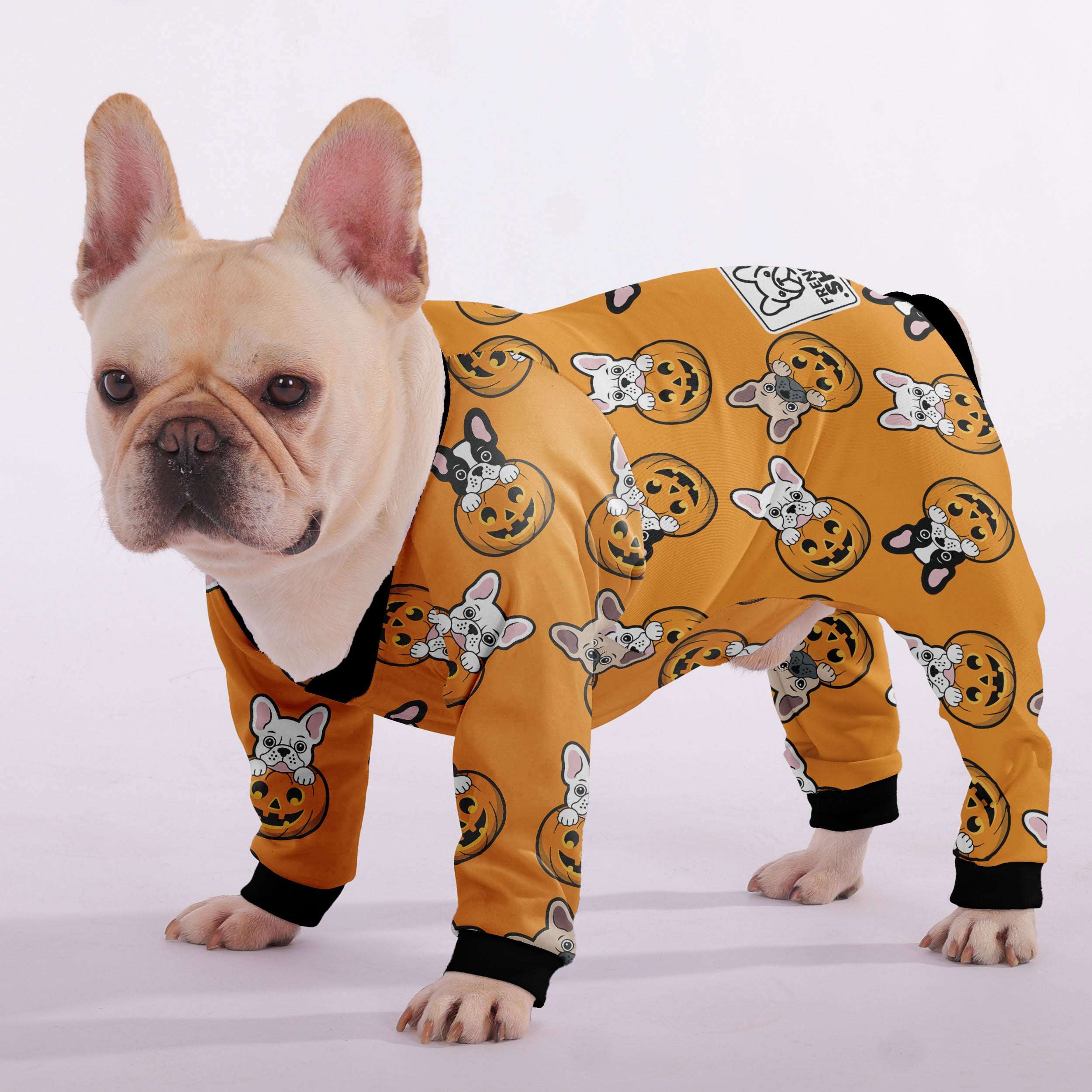 Fashion-Forward Street-Ready Moose - Frenchie Pajamas for Home Use