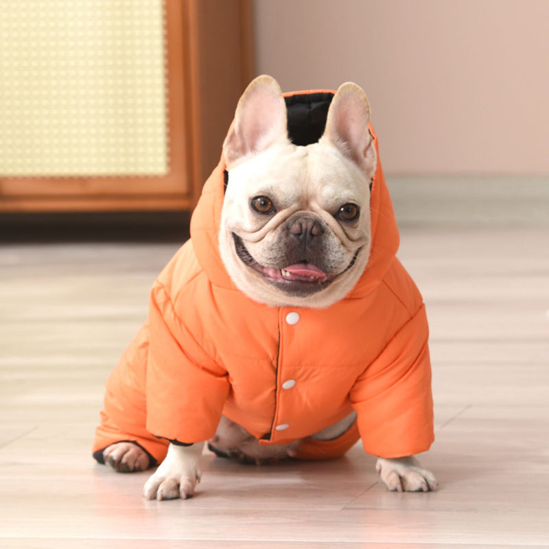 SnugSnout Windproof Snow Coat for French Bulldogs Winter Essential