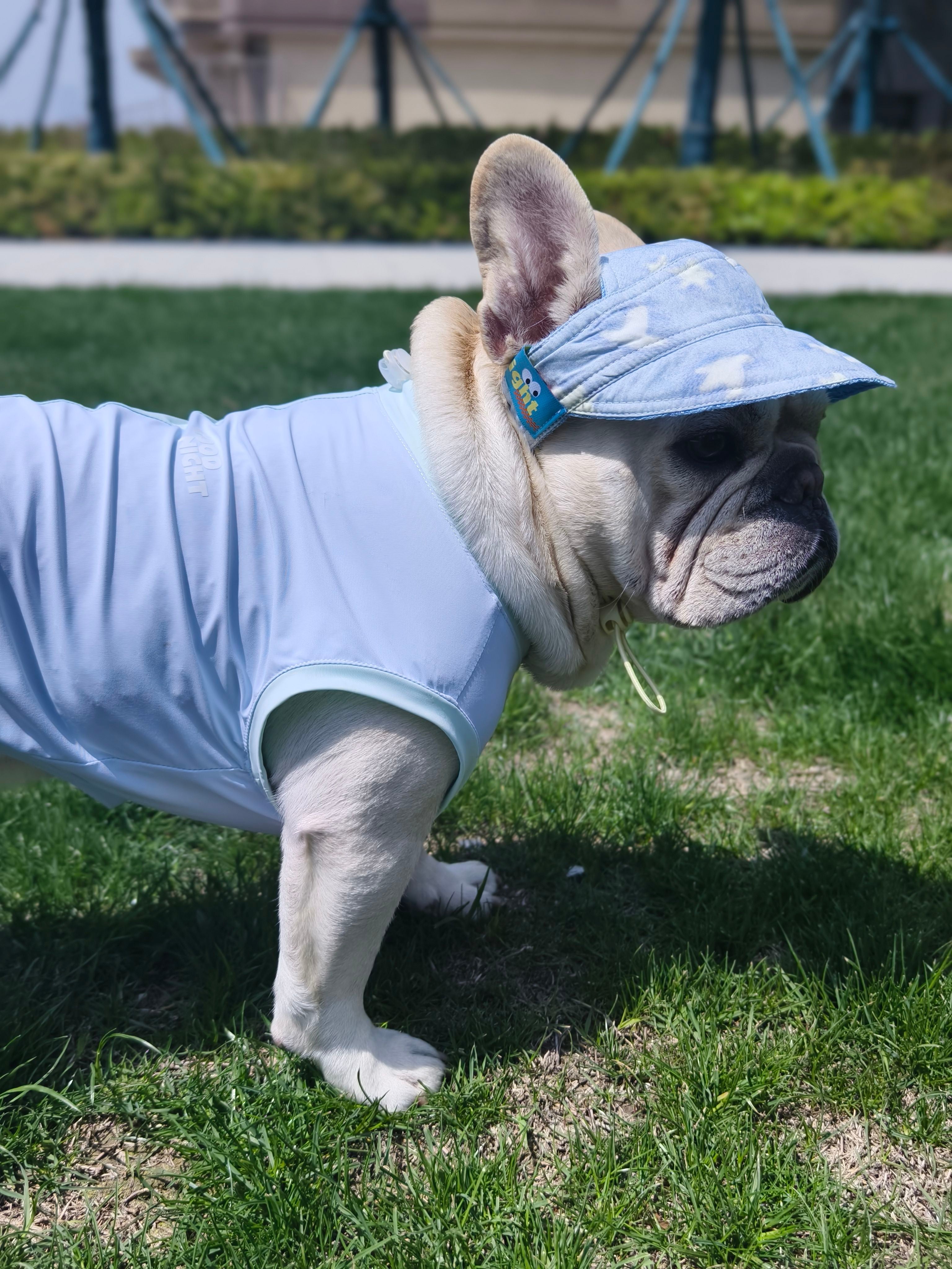 French Bulldog French Bulldog Hat – Adjustable Comfortable Denim Light