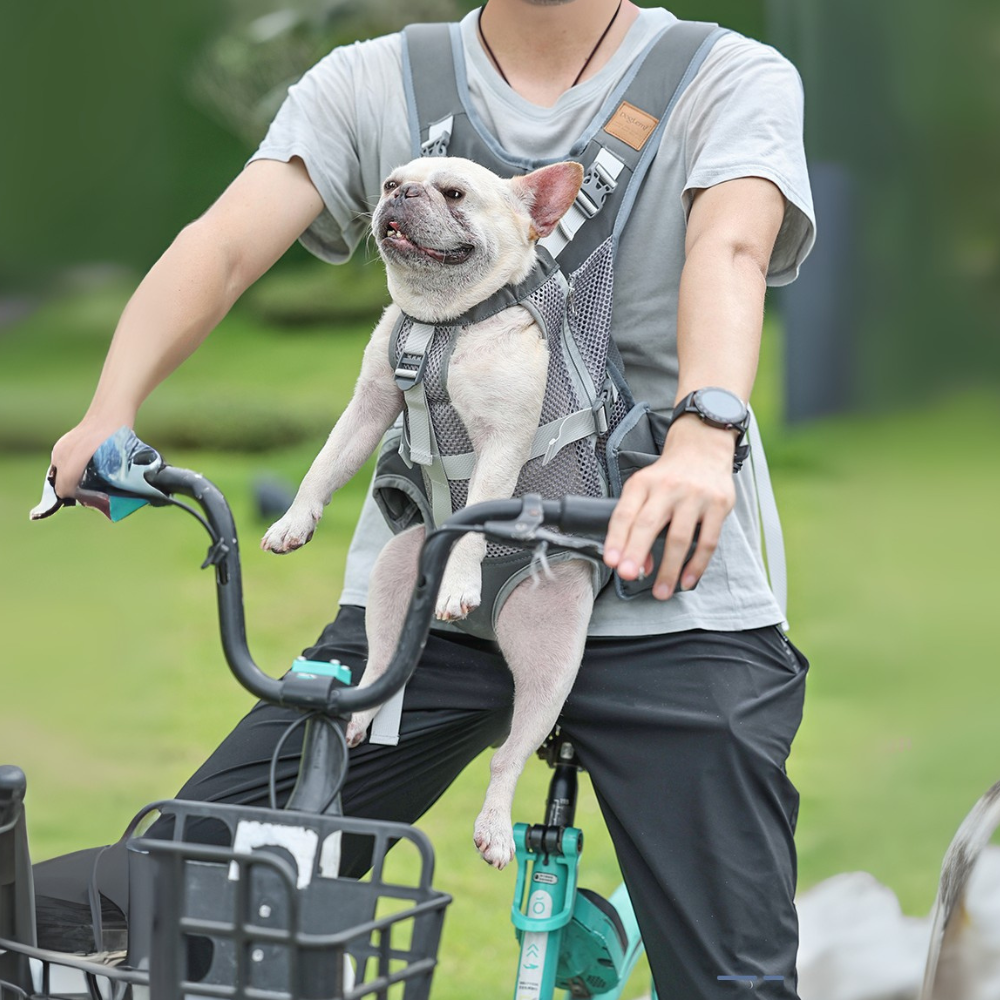 Fashion-Forward Pawporter French Bulldog Carrier Backpack – Travel An...