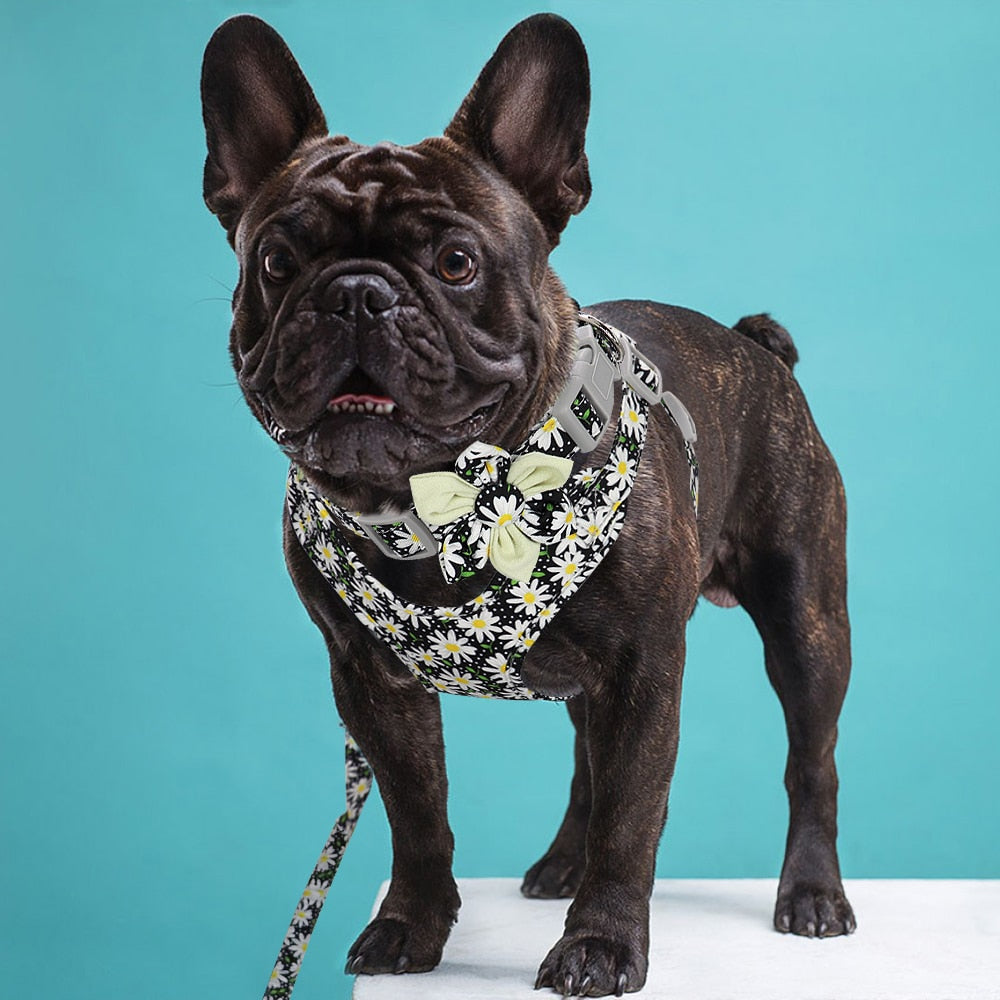 French Bulldog Flower Printed Harness Set For French Bulldog (ws243) Practical Dog Gear