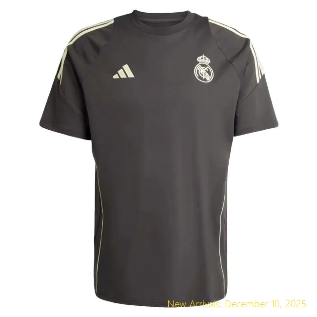 Professional 2025-2026 RM Real Madrid Training Tee (Utility Grey)