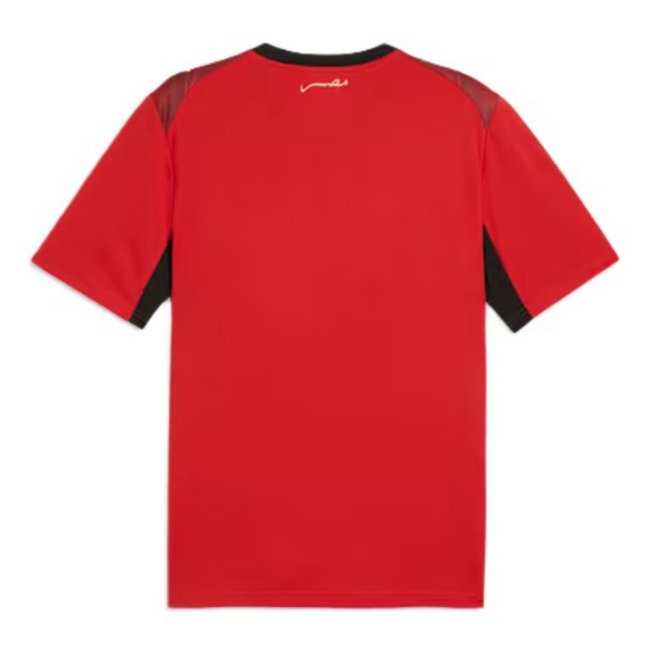 [DDJ] 2026-2027 Egypt Home Shirt (Your Name)