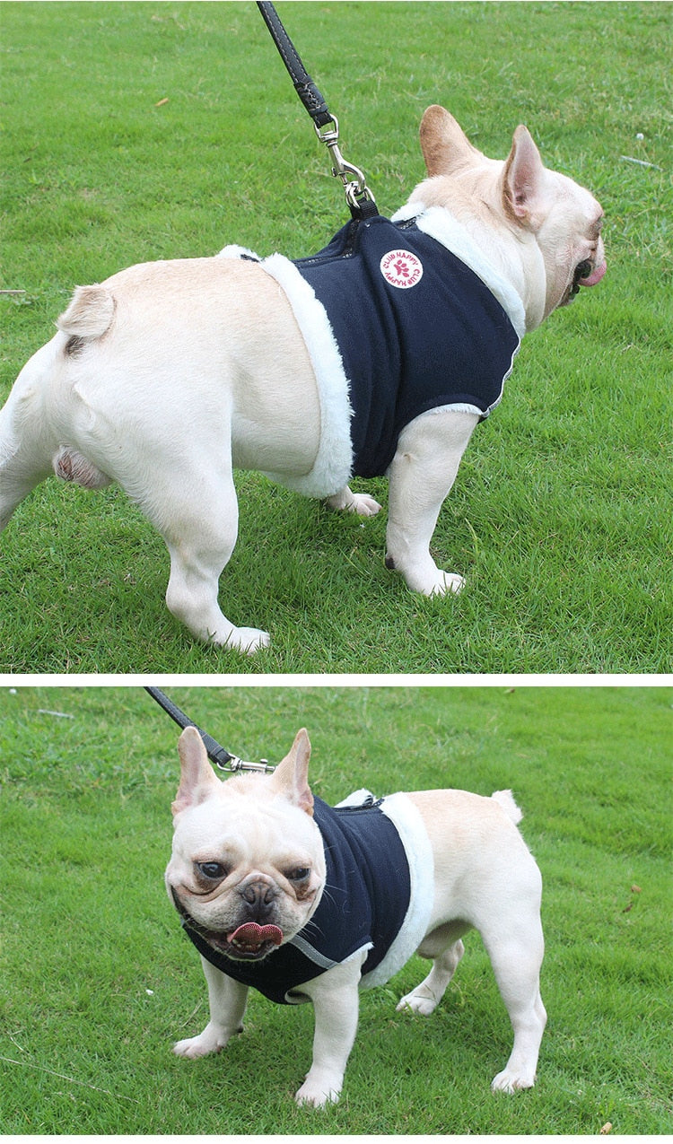 Reflective Harness for Winter (WS304)