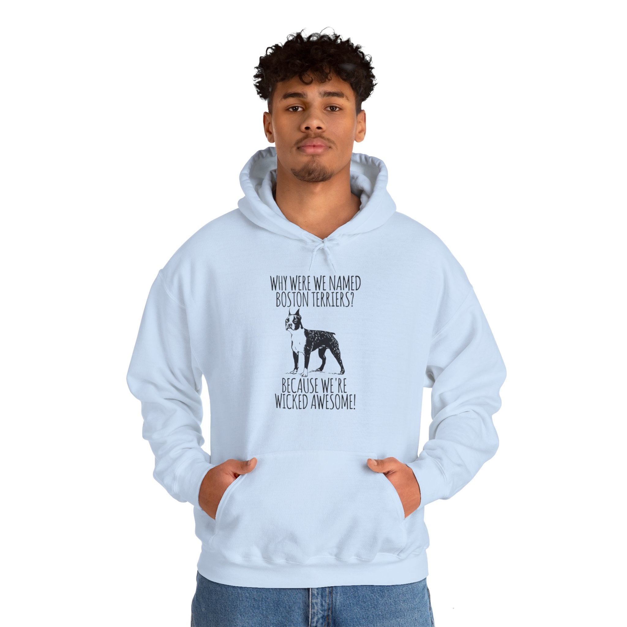 Vector - Unisex Hoodie for Boston Terrier lovers