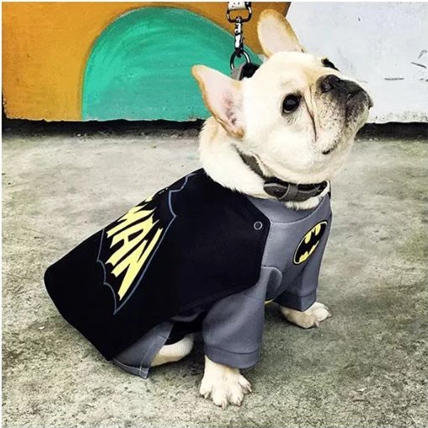 French Bulldog BatFrenchie Cosplay Clothes