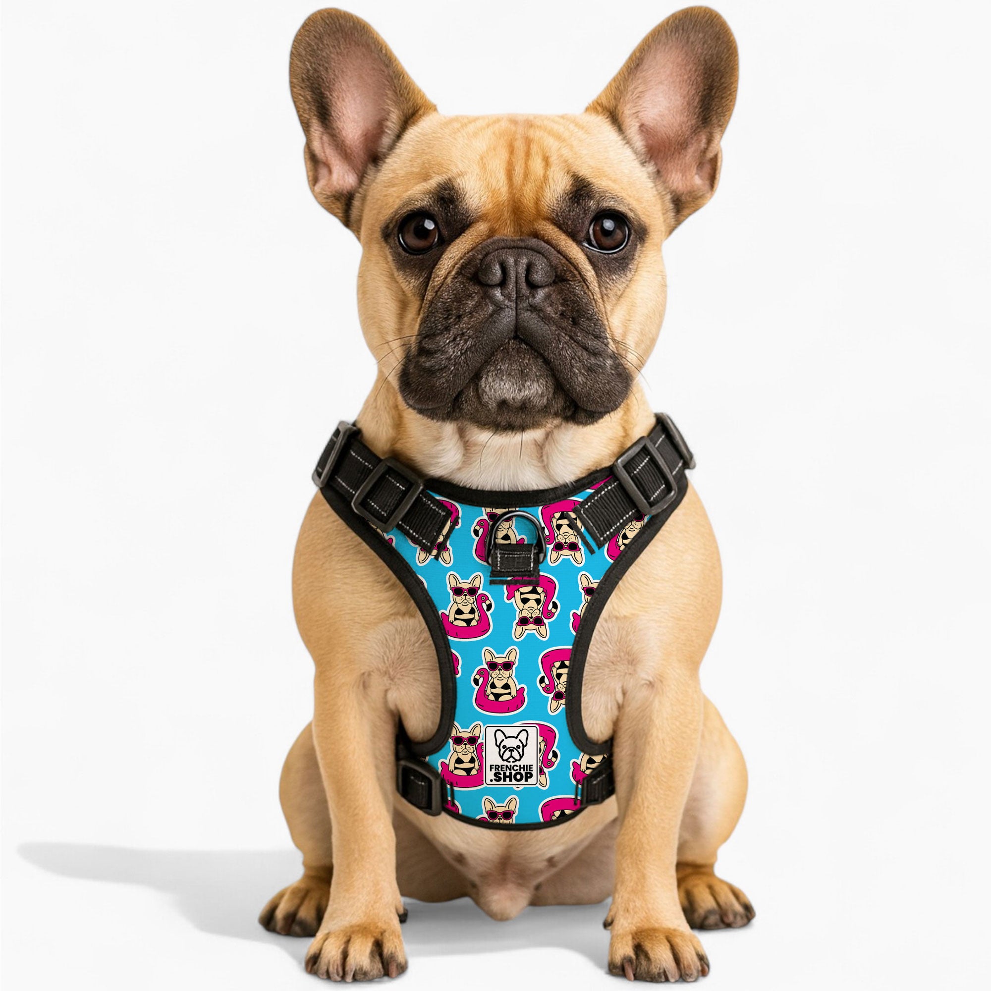 Comfort-Optimized Papillon - No-pull French Bulldog Dog Harness for F...