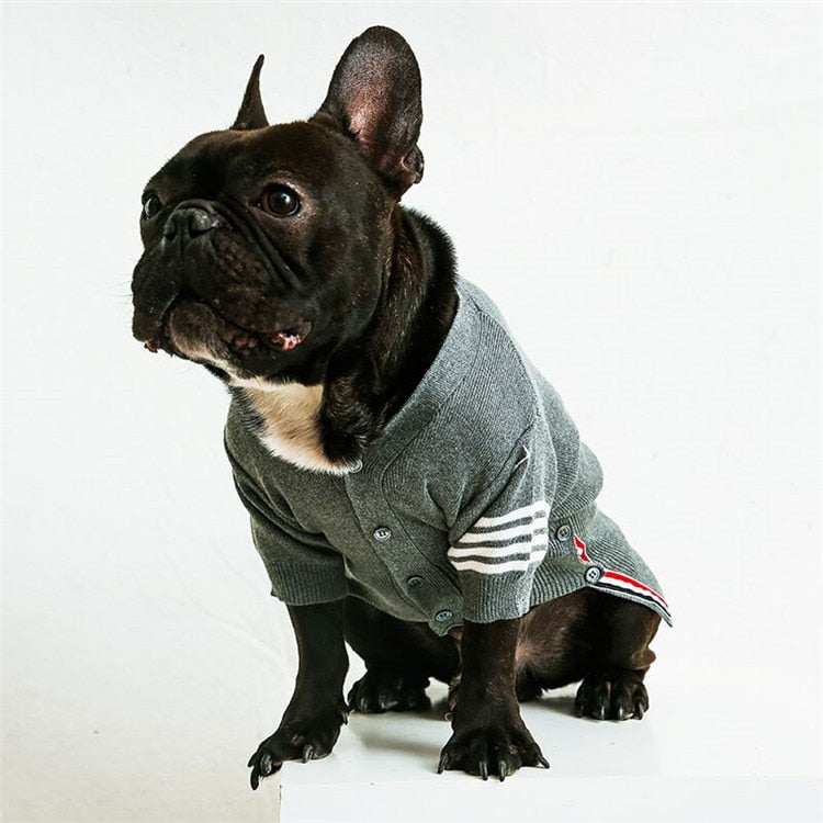 High - Comfy Quality French Bulldog Sweater Frenchie Themed Wear