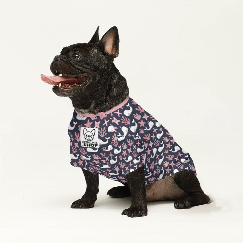 Covi - Dog Owner Wool Sweater For Frenchies For Frenchie Fans