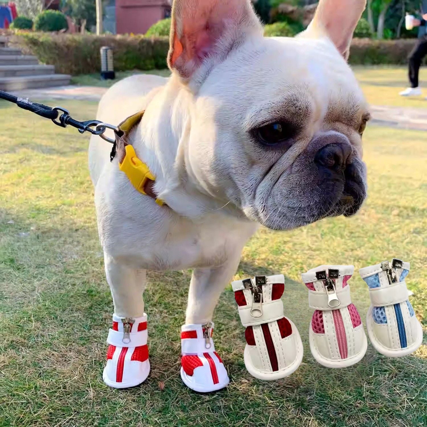 French Bulldog Pawrence Breathable French Bulldog Booties With Magic