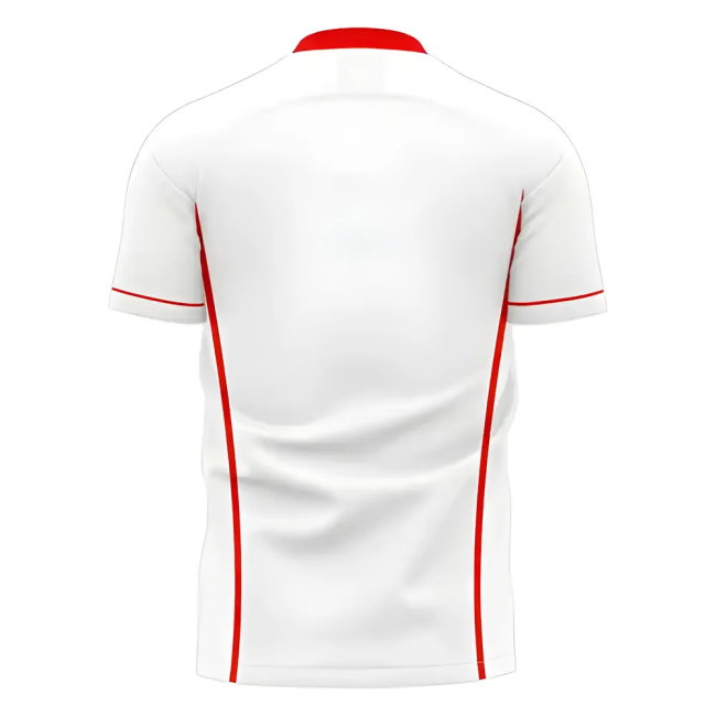 North Away Shirt 2025-2026 edition (Adult
