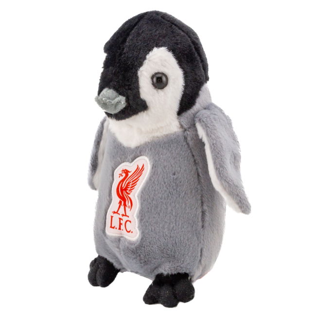 Liverpool Football Club Contemporary Home Team Kit (1)
