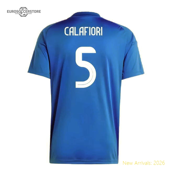 High-performance European Team 2024-2025 Home Short Sleeve Jersey