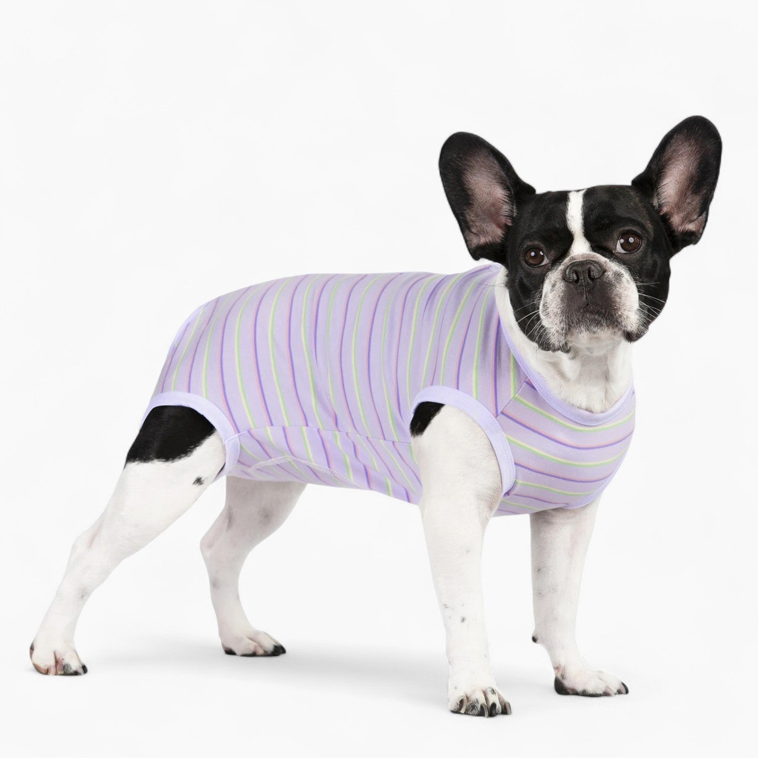 Zip-up Anti Licking Wounds Bodysuit Frenchie Themed Wear | Unique Design